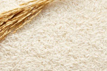 Rice-and-food-grains