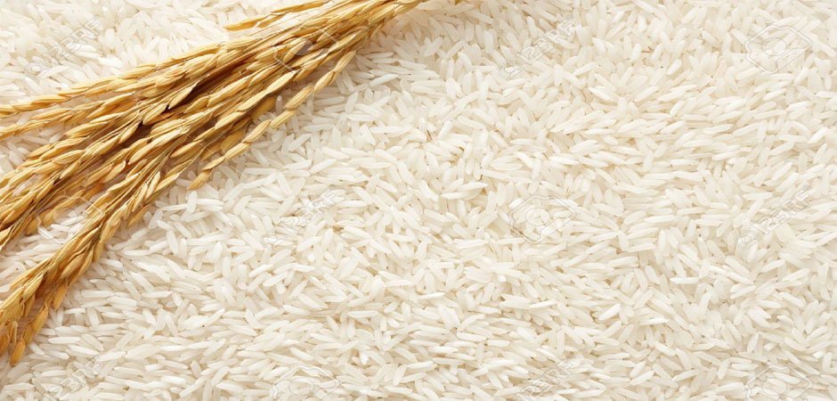 Rice-and-food-grains